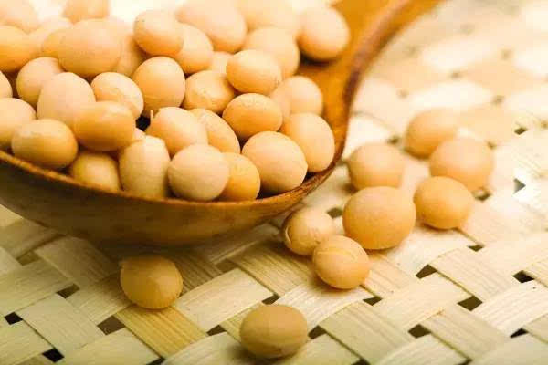 黃豆的功效 常吃這物能養(yǎng)生保健